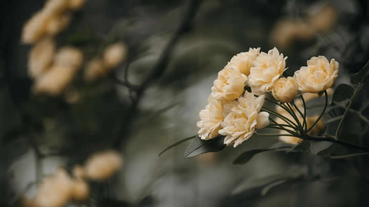 高效防曬 噴霧器輕松應對戶外烈日挑戰(zhàn)
