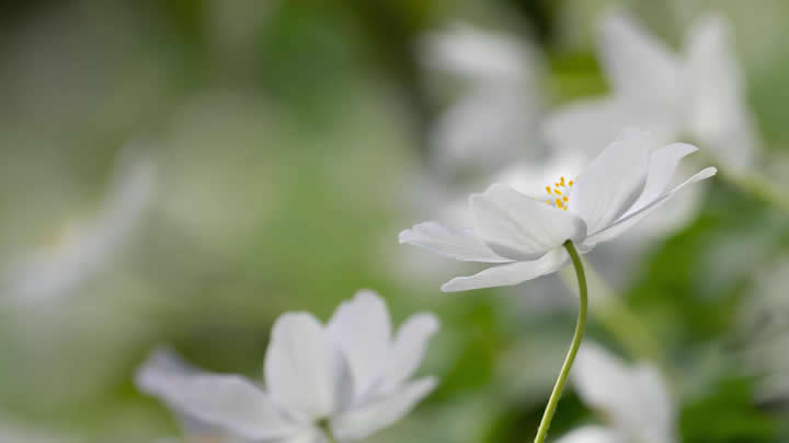 臺(tái)州高效降溫噴霧器 夏日清涼好伴侶