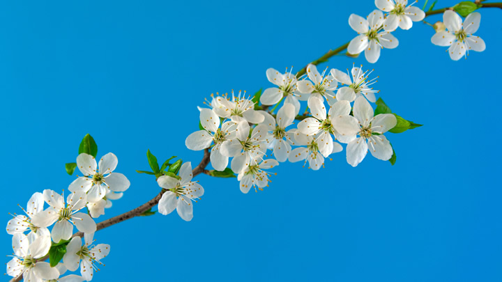 臺(tái)州品牌噴霧器 品質(zhì)卓越贏得市場(chǎng)口碑