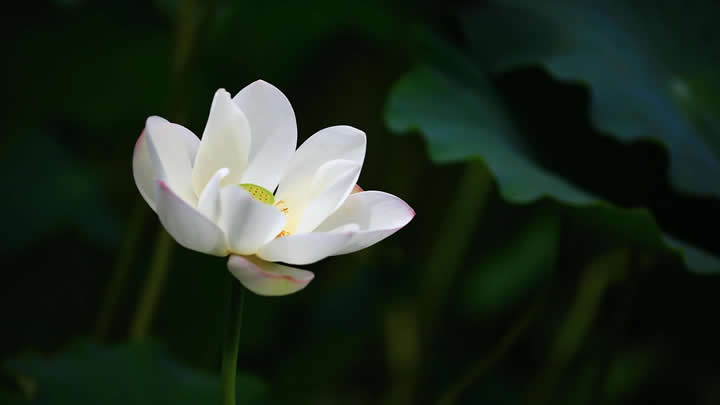 臺(tái)州品牌噴霧器 品質(zhì)卓越贏得市場(chǎng)口碑