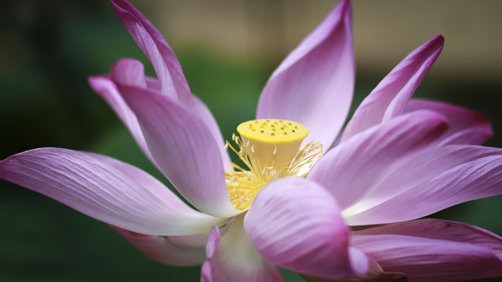 環(huán)保節(jié)能 消毒噴霧器 低能耗高效能