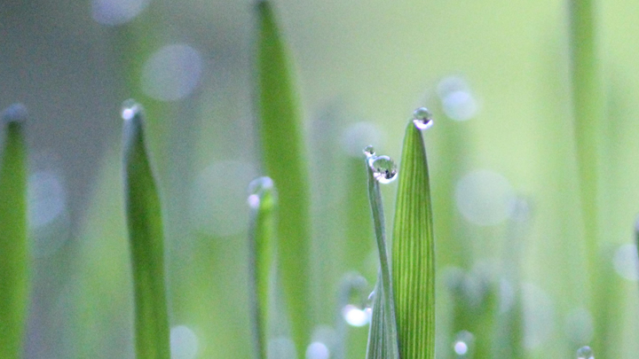 納米級水霧 細膩補水 高科技補水噴霧器 肌膚更易吸收