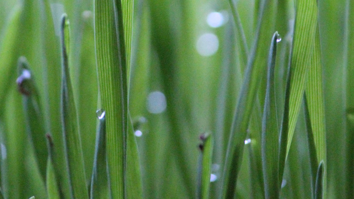 納米級水霧 細膩補水 高科技補水噴霧器 肌膚更易吸收